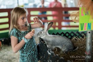 Fêtes gourmandes de Lanaudière