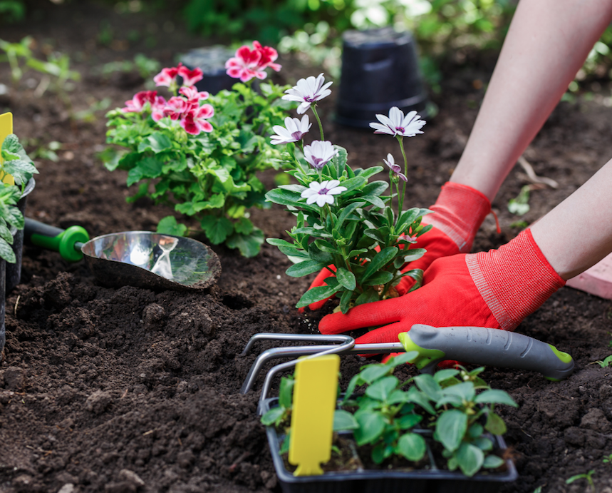 Le Jardinage Stimule L'esprit Et Le Corps De La Femme Adulte