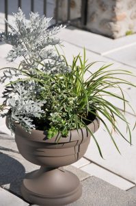 Jardinières d'automne