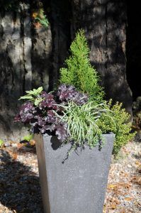 Jardinières d'automne