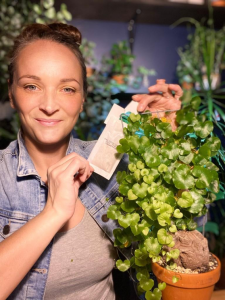 Lady Bug : Faites la lutte aux ravageurs dans vos plantes de façon biologique!