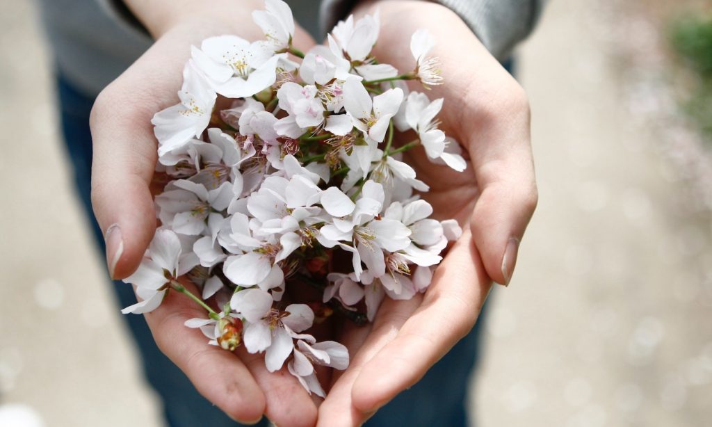 Chamane urbaine : Vivre le moment présent et vivre la gratitude