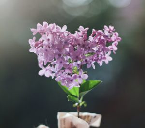 Se remplir le cœur…