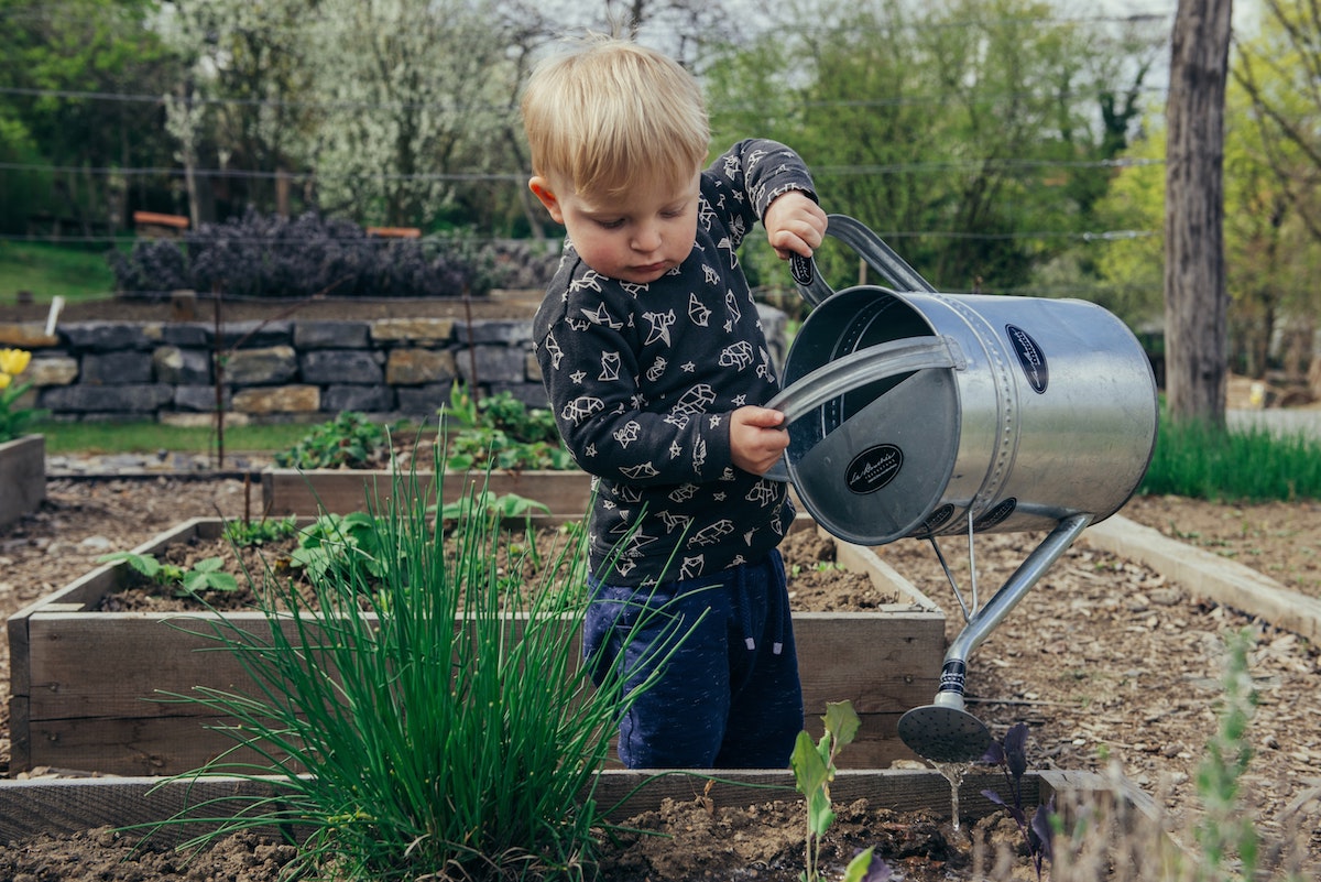 Démarrer un potager sans trop d’efforts