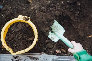 Démarrer un potager sans trop d’efforts