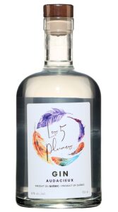 Gin les 5 plues pour l'épilepsie
