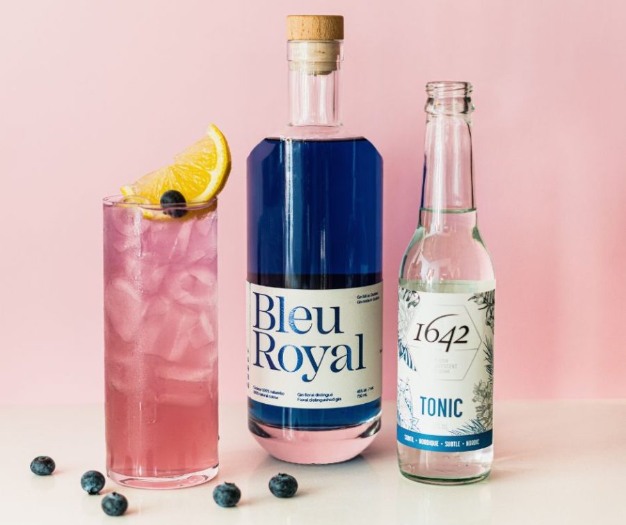 Gin Fizz aux bleuets Les Radieuses