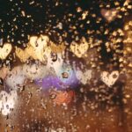 Pluie - Miracle - survie