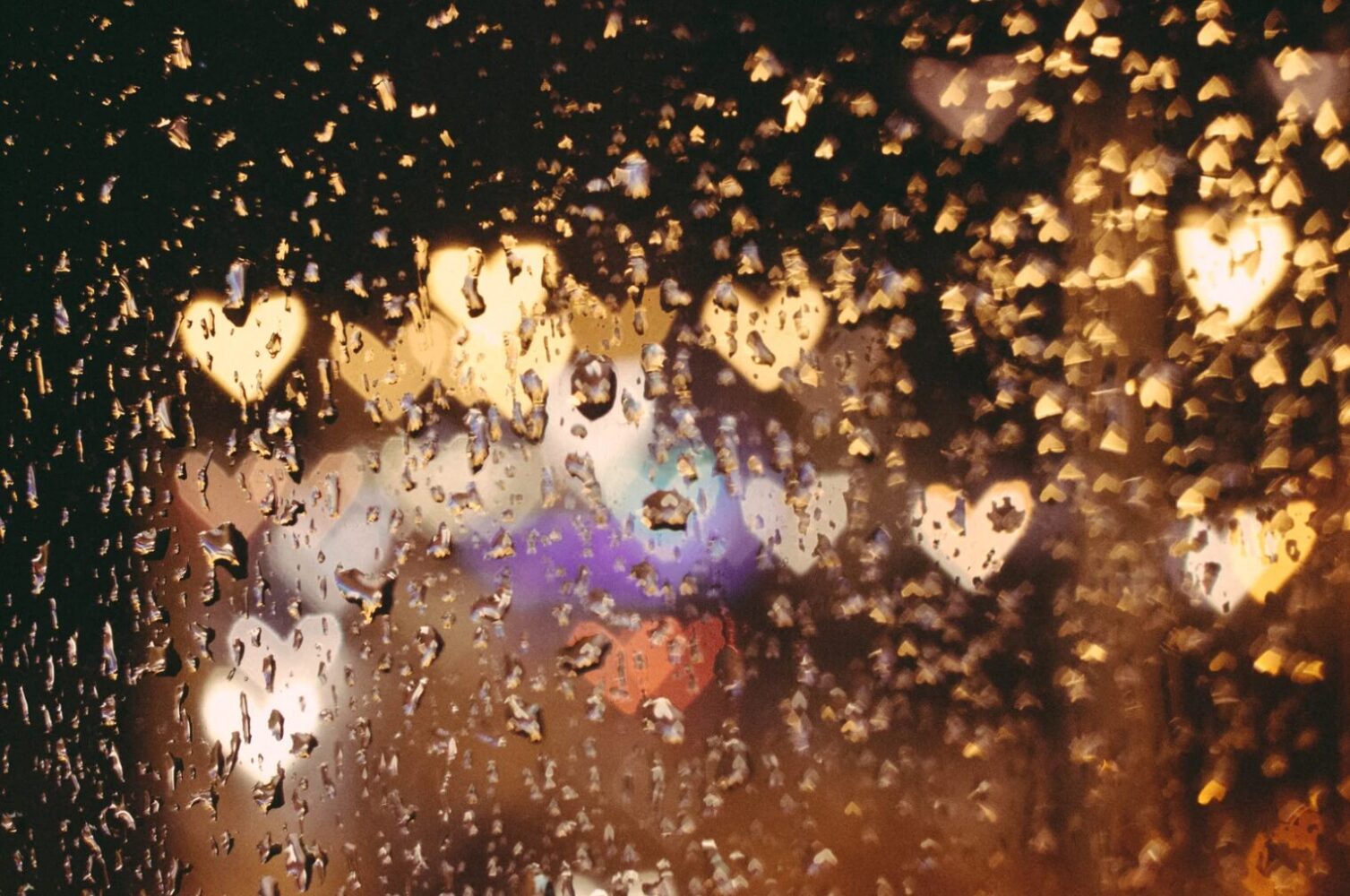 Pluie - Miracle - survie