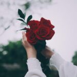 Amour de soi - Amour