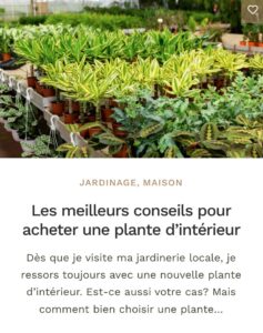 Conseils achat plantes intérieures