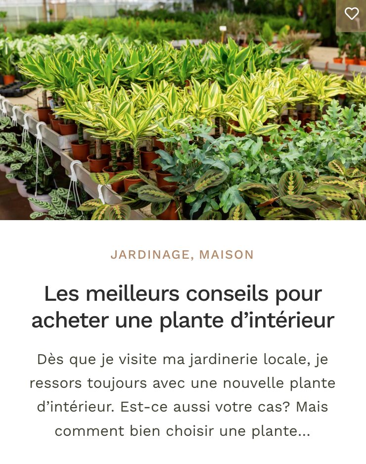 Conseils achat plantes intérieures