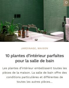 Plantes salle de bain