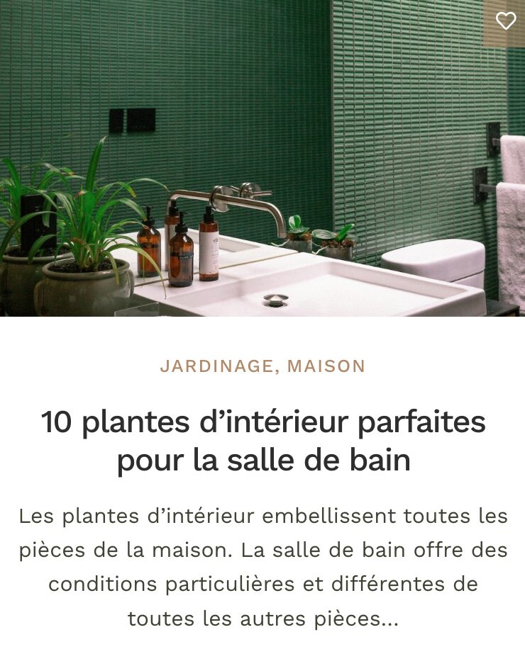 Plantes salle de bain