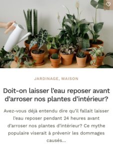 Plante entretient