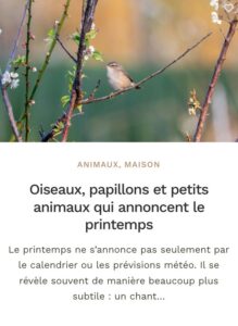 Printemps - Oiseaux