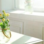 Printemps - couleur énergie