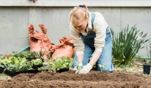 Jardinage