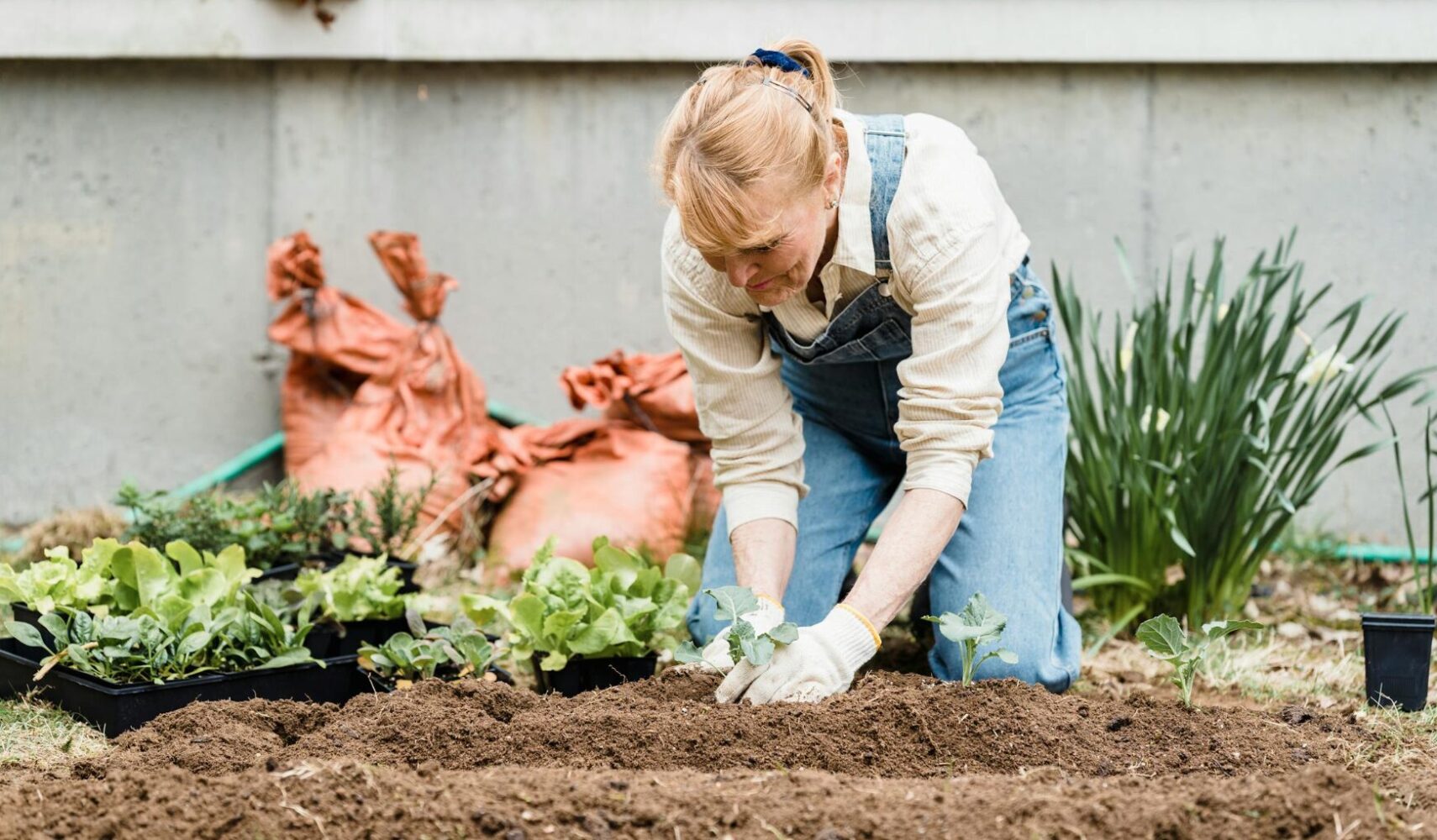 Jardinage