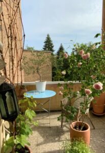 balcon fleuri