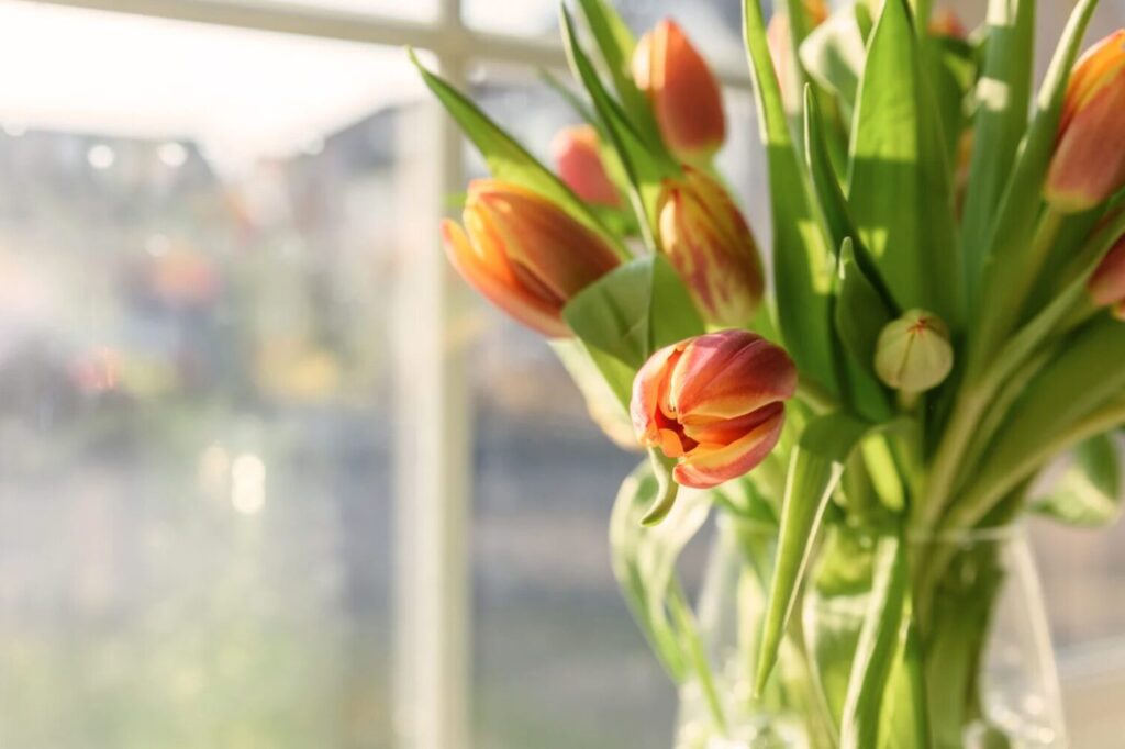 déco - fleurs