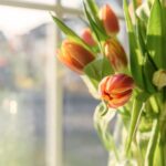 déco - fleurs